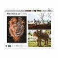 AMBASSADOR - Wildtiere Afrika 3x1000 Teile (Donal Boyd) - Donal Boyd