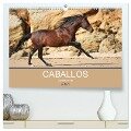 Caballos Spanische Pferde 2024 (hochwertiger Premium Wandkalender 2024 DIN A2 quer), Kunstdruck in Hochglanz - Petra Eckerl Tierfotografie