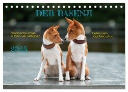 Der Basenji (Tischkalender 2025 DIN A5 quer), CALVENDO Monatskalender - Angelika Joswig