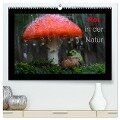 Rot in der Natur (hochwertiger Premium Wandkalender 2025 DIN A2 quer), Kunstdruck in Hochglanz - Günter Bachmeier