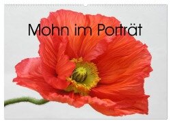 Mohn im Porträt (Wandkalender 2025 DIN A2 quer), CALVENDO Monatskalender - Gisela Kruse