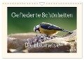 Gefiederte Schönheiten - Die Blaumeise (Wandkalender 2024 DIN A4 quer), CALVENDO Monatskalender - Rolf Pötsch