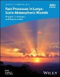 Fast Processes in Large-Scale Atmospheric Models - 