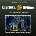 Cover-Bild zum Titel 'Shoscombe Old Place' von 'Arthur Conan Doyle, Daniela Wakonigg'