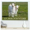 Ein Herz für Rinder (hochwertiger Premium Wandkalender 2024 DIN A2 quer), Kunstdruck in Hochglanz - Sigrid Starick