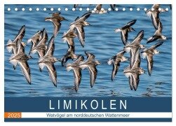 Limikolen - Watvögel am norddeutschen Wattenmeer (Tischkalender 2025 DIN A5 quer), CALVENDO Monatskalender - Arne Wünsche