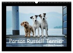 Parson Russell Terrier (Wandkalender 2025 DIN A3 quer), CALVENDO Monatskalender - Kathrin Köntopp