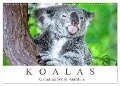 Koalas - Kuscheliges Symbol Australiens (Wandkalender 2024 DIN A3 quer), CALVENDO Monatskalender - Dieter Meyer