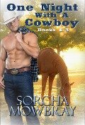 One Night With A Cowboy (Books 1-5) - Sorcha Mowbray