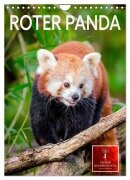 Cover-Bild zum Titel 'Roter Panda (Wandkalender 2026 DIN A4 hoch), CALVENDO Monatskalender' von 'Peter Roder'
