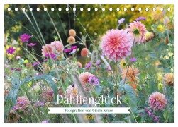 Dahlienglück (Tischkalender 2026 DIN A5 quer), CALVENDO Monatskalender - Gisela Kruse