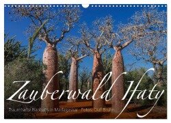 Zauberwald Ifaty · Traumhafte Baobabs in Madagaskar (Wandkalender 2026 DIN A3 quer), CALVENDO Monatskalender - Olaf Bruhn