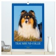 Cover-Bild zum Titel 'Traumhund Collie - Liebe auf vier Pfoten (hochwertiger Premium Wandkalender 2026 DIN A2 hoch), Kunstdruck in Hochglanz' von 'Sigrid Starick'