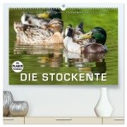 Emotionale Momente: Die Stockente. (hochwertiger Premium Wandkalender 2025 DIN A2 quer), Kunstdruck in Hochglanz - Ingo Gerlach