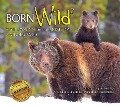 Born Wild 2: In Yellowstone and Grand Teton National Parks - 