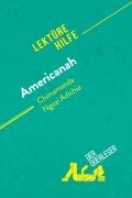 Cover-Bild zum Titel 'Americanah von Chimamanda Ngozi Adichie (Lektürehilfe)' von 'der Querleser'