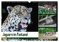 Jaguare im Pantanal (Wandkalender 2024 DIN A3 quer), CALVENDO Monatskalender - Yvonne und Michael Herzog