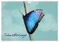 Schmetterlinge (Wandkalender 2025 DIN A4 quer), CALVENDO Monatskalender - Heike Hultsch