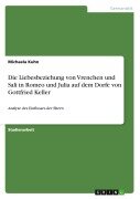 Cover-Bild zum Titel 'Die Liebesbeziehung von Vrenchen und Sali in Romeo und Julia auf dem Dorfe von Gottfried Keller' von 'Michaela Kuhn'