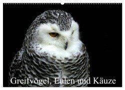 Greifvögel, Eulen und Käuze (Wandkalender 2026 DIN A2 quer), CALVENDO Monatskalender - Arno Klatt