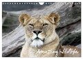 Amazing Wildlife (Wandkalender 2024 DIN A4 quer), CALVENDO Monatskalender - Andreas Hebbel-Seeger