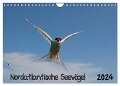 Nordatlantische Seevögel (Wandkalender 2024 DIN A4 quer), CALVENDO Monatskalender - Gerald Wolf