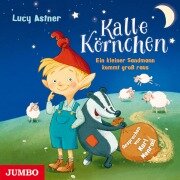 Kalle Körnchen. Ein kleiner Sandmann kommt groß raus - Lucy Astner
