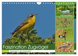 Faszination Zugvögel - Rekorde in der Vogelwelt (Wandkalender 2026 DIN A4 quer), CALVENDO Monatskalender - René Schaack