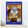 Mongolische Rennmäuse (hochwertiger Premium Wandkalender 2025 DIN A2 hoch), Kunstdruck in Hochglanz - Kattobello Kattobello