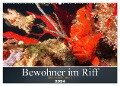 Bewohner im Riff (Wandkalender 2024 DIN A2 quer), CALVENDO Monatskalender - Bianca Schumann