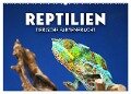 Reptilien - Tierische Farbenpracht (Wandkalender 2024 DIN A2 quer), CALVENDO Monatskalender - Sf Sf