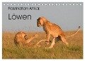 Faszination Afrika: Löwen (Tischkalender 2024 DIN A5 quer), CALVENDO Monatskalender - Elmar Weiss