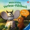 Mein erstes Vorlese-Fühlbuch: Bist du ein Bär? - Kathrin Lena Orso