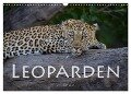 Leoparden - groß und klein (Wandkalender 2024 DIN A3 quer), CALVENDO Monatskalender - Robert Styppa