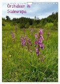 Orchideen in Südeuropa (Wandkalender 2024 DIN A4 hoch), CALVENDO Monatskalender - Benny Trapp