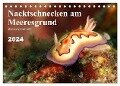 Nacktschnecken am Meeresgrund (Tischkalender 2024 DIN A5 quer), CALVENDO Monatskalender - Bianca Schumann
