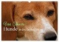 Graue Schnuten - Hunde in den besten Jahren (Wandkalender 2024 DIN A3 quer), CALVENDO Monatskalender - Kerstin Grüttner