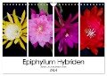 Epiphyllum-Hybriden (Wandkalender 2024 DIN A4 quer), CALVENDO Monatskalender - Steffen Latniak Gierok