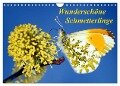 Wunderschöne Schmetterlinge (Wandkalender 2024 DIN A4 quer), CALVENDO Monatskalender - Lothar Reupert