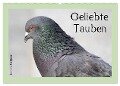 Geliebte Tauben (Wandkalender 2024 DIN A2 quer), CALVENDO Monatskalender - Ramona Meißner
