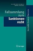 Fallsammlung zum Sanktionenrecht - Bernd-Dieter Meier, Sarah Noetzel