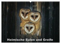 Heimische Eulen und Greife (Wandkalender 2025 DIN A2 quer), CALVENDO Monatskalender - Günter Bachmeier