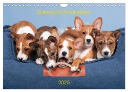 Basenji-Schönheiten (Wandkalender 2025 DIN A4 quer), CALVENDO Monatskalender - Angelika Joswig