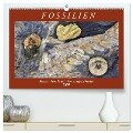 Fossilien - Ammoniten, Trilobiten, Erdgeschichte (hochwertiger Premium Wandkalender 2025 DIN A2 quer), Kunstdruck in Hochglanz - Anja Frost