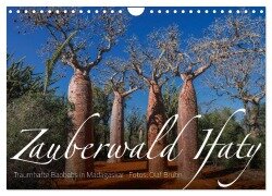 Zauberwald Ifaty · Traumhafte Baobabs in Madagaskar (Wandkalender 2026 DIN A4 quer), CALVENDO Monatskalender - Olaf Bruhn