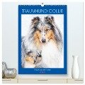 Traumhund Collie - Glück auf vier Pfoten (hochwertiger Premium Wandkalender 2024 DIN A2 hoch), Kunstdruck in Hochglanz - Sigrid Starick