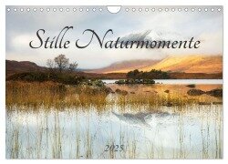 Stille Naturmomente (Wandkalender 2025 DIN A4 quer), CALVENDO Monatskalender - Daniela Beyer (Moqui)