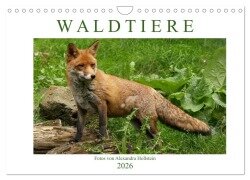 Cover-Bild zum Titel 'Waldtiere (Wandkalender 2026 DIN A4 quer), CALVENDO Monatskalender' von 'Alexandra Hollstein'