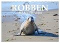 Robben und See-Elefanten (Wandkalender 2024 DIN A2 quer), CALVENDO Monatskalender - Robert Styppa