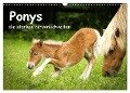 Ponys, die starken Persönlichkeiten (Wandkalender 2024 DIN A3 quer), CALVENDO Monatskalender - Berit Seiboth